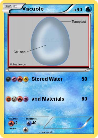 Pokemon Vacuole