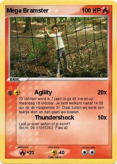 Pokemon Mega Bramster