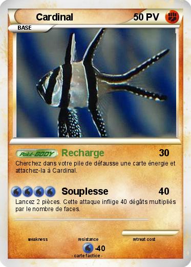 Pokemon Cardinal