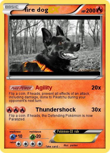 Pokemon fire dog