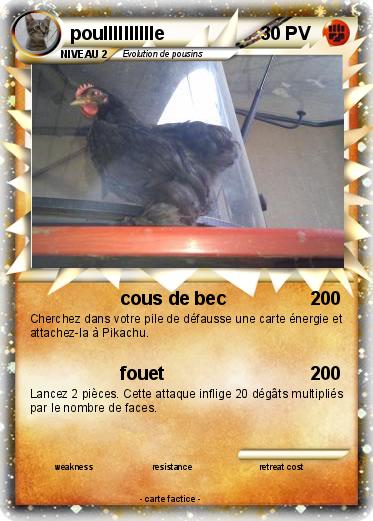 Pokemon poulllllllllle