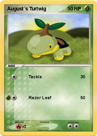 Pokemon August´s Turtwig