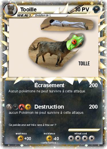 Pokemon Tooille