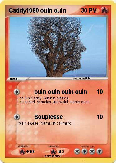 Pokemon Caddy1980 ouin ouin