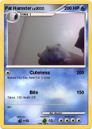 Pokemon Fat Hamster