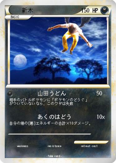 Pokemon 新木