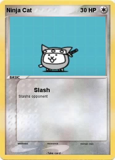 Pokemon Ninja Cat