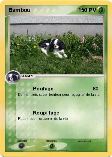 Pokemon Bambou