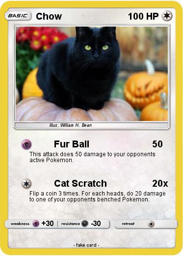 Pokemon Chow