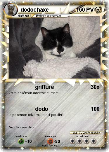 Pokemon dodochaxe