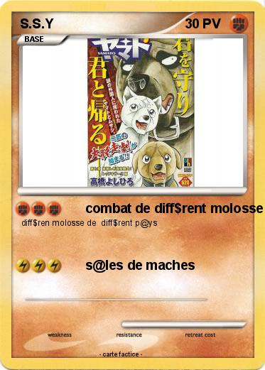 Pokemon S.S.Y