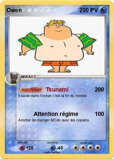 Pokemon Owen