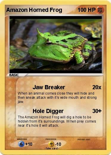 Pokemon Amazon Horned Frog