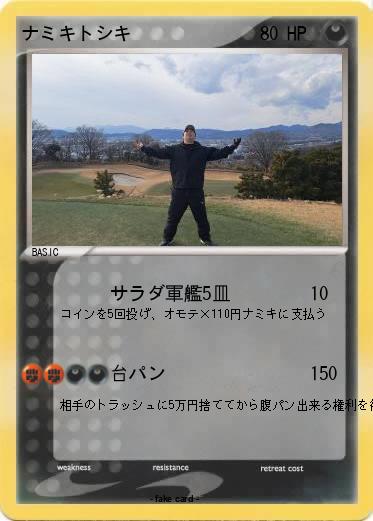 Pokemon ナミキトシキ