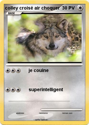 Pokemon colley croisé air choquer