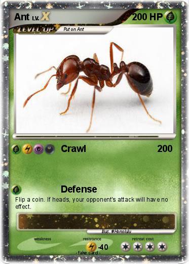 Pokemon Ant