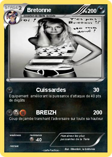 Pokemon Bretonne