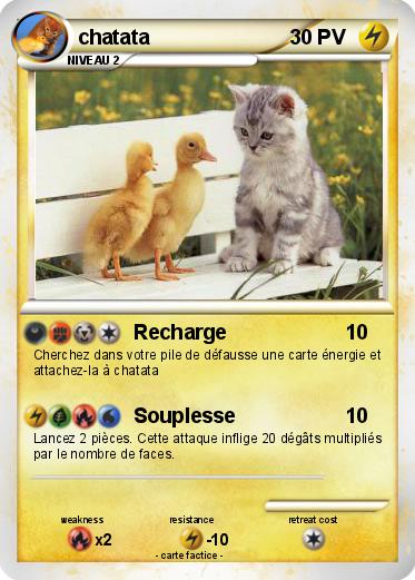 Pokemon chatata
