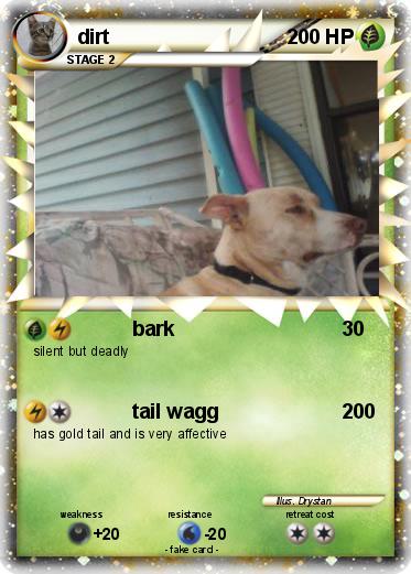 Pokemon dirt
