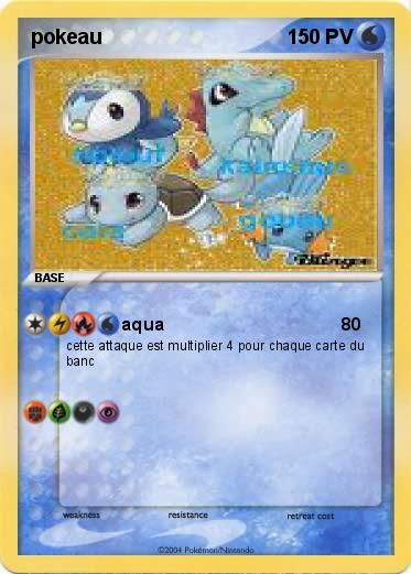 Pokemon pokeau
