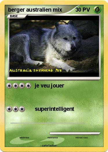 Pokemon berger australien mix