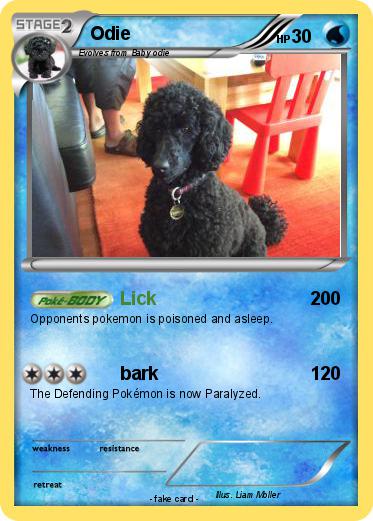 Pokemon Odie