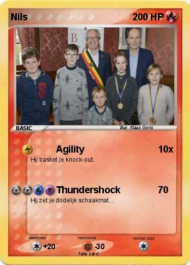 Pokemon Nils