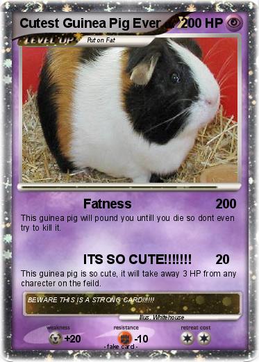 Pokemon Cutest Guinea Pig Ever