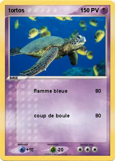 Pokemon tortos