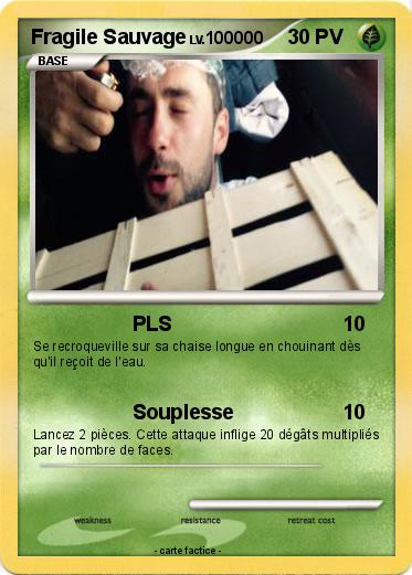 Pokemon Fragile Sauvage