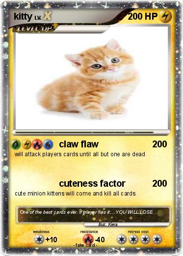 Pokemon kitty