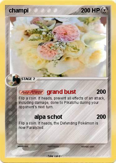 Pokemon champi