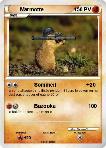 Pokemon Marmotte