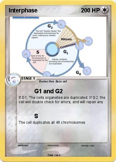 Pokemon Interphase