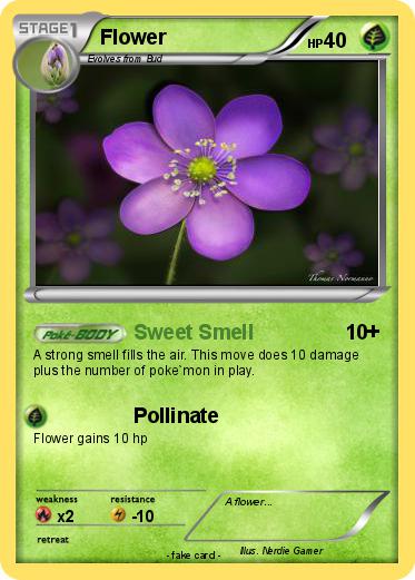 Pokemon Flower