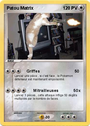 Pokemon Patou Matrix