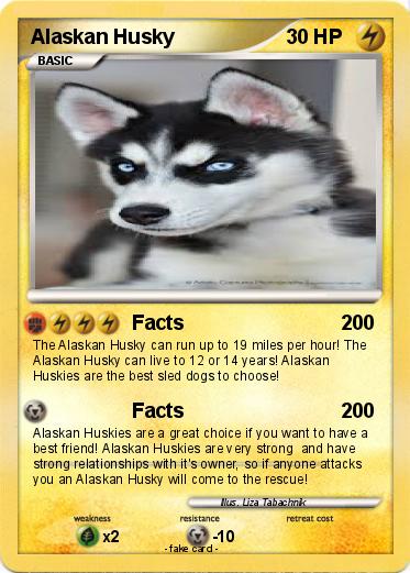 Pokemon Alaskan Husky