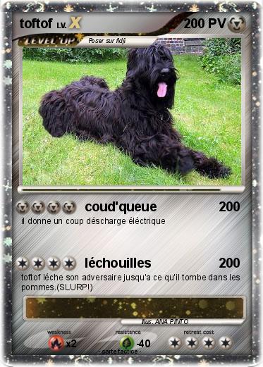 Pokemon toftof