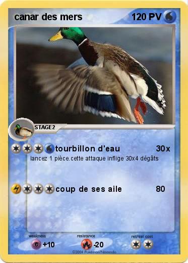 Pokemon canar des mers