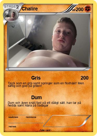 Pokemon Chalire
