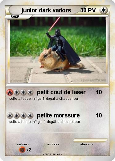 Pokemon junior dark vadors