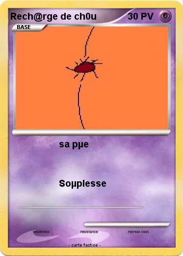 Pokemon Rech@rge de ch0u