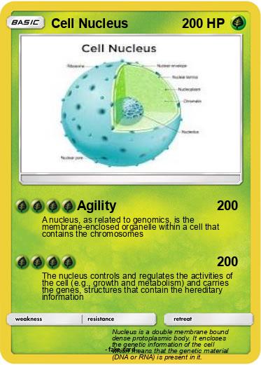 Pokemon Cell Nucleus