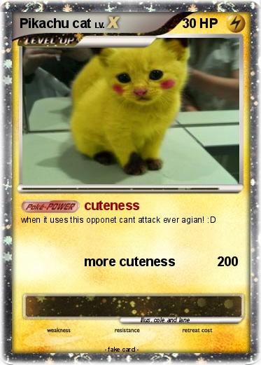 Pokemon Pikachu cat