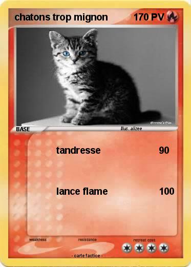 Pokemon chatons trop mignon