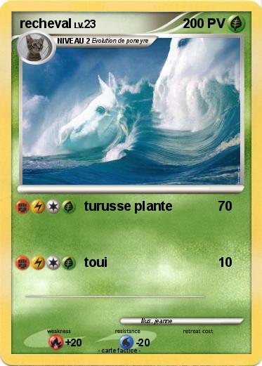Pokemon recheval