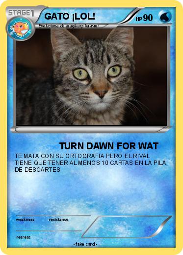 Pokemon GATO ¡LOL!