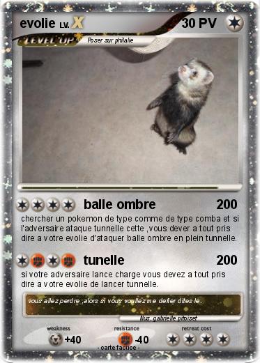 Pokemon evolie