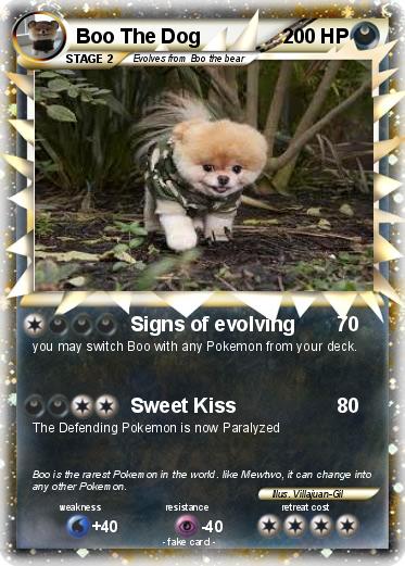 Pokemon Boo The Dog