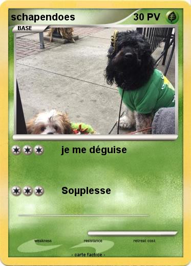 Pokemon schapendoes